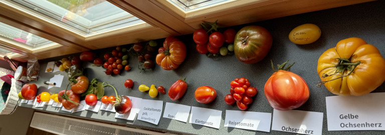 Tomaten