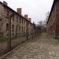 auschwitz_2023_ej_cham_d