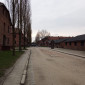 auschwitz_2023_ej_cham_e