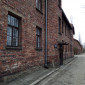 auschwitz_2023_ej_cham_f