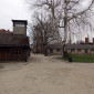 auschwitz_2023_ej_cham_g