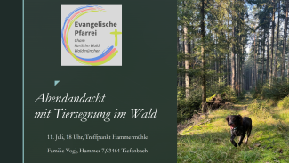 Hund läuft im Wald 