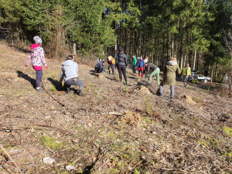 Baumpflanzen_Miltach_a_März_2024_Ej_Cham