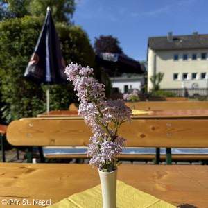 Aufbau
