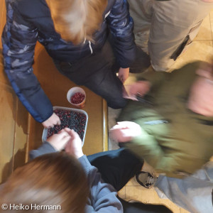 jugo_februar_2025_ej_cham_b